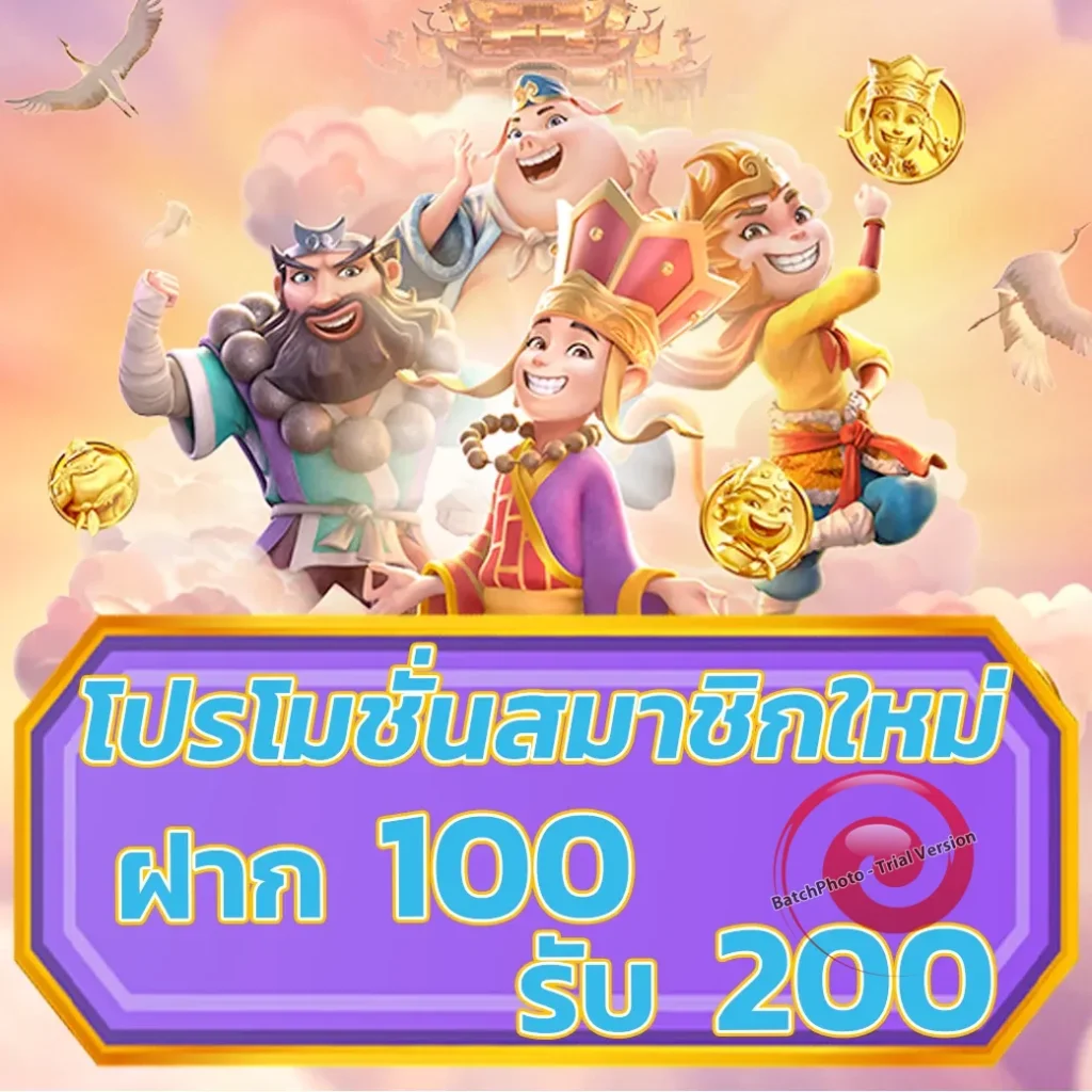 เว็บใหม่ t 2 nine